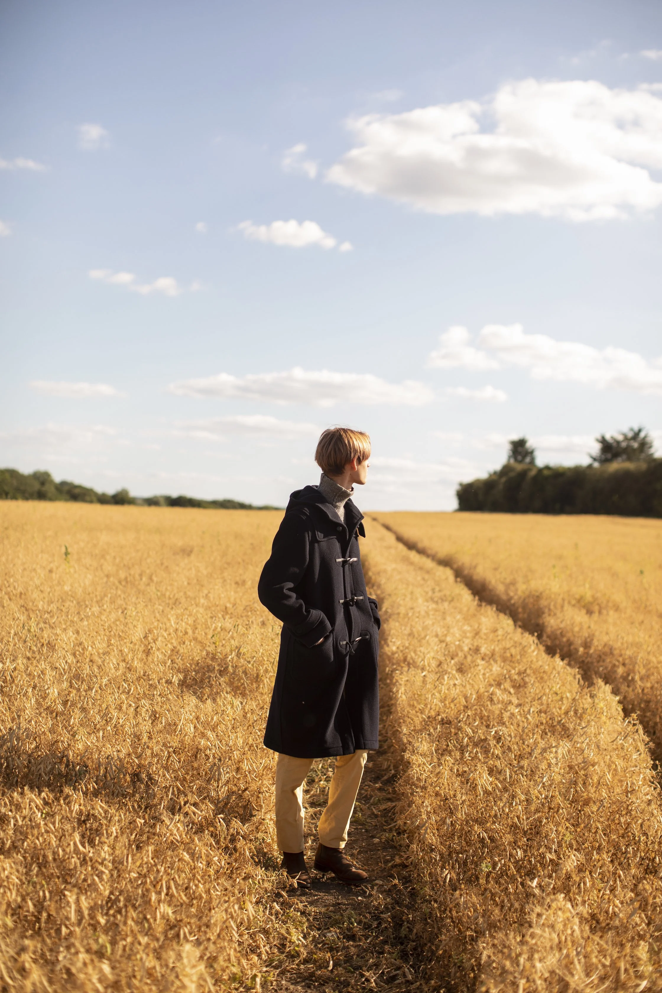 Anderson and Sheppard 