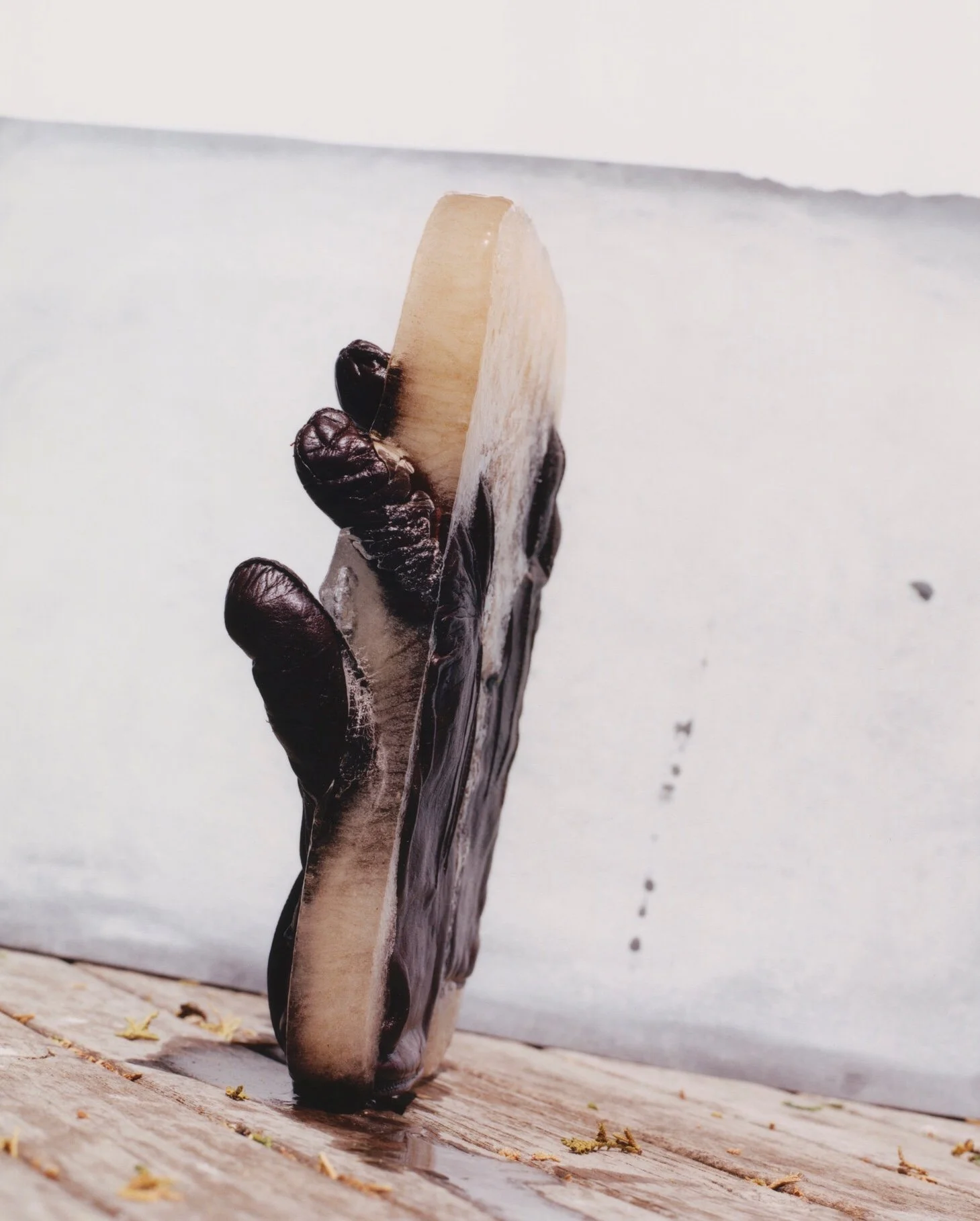 David Nolan Stylist Still Life