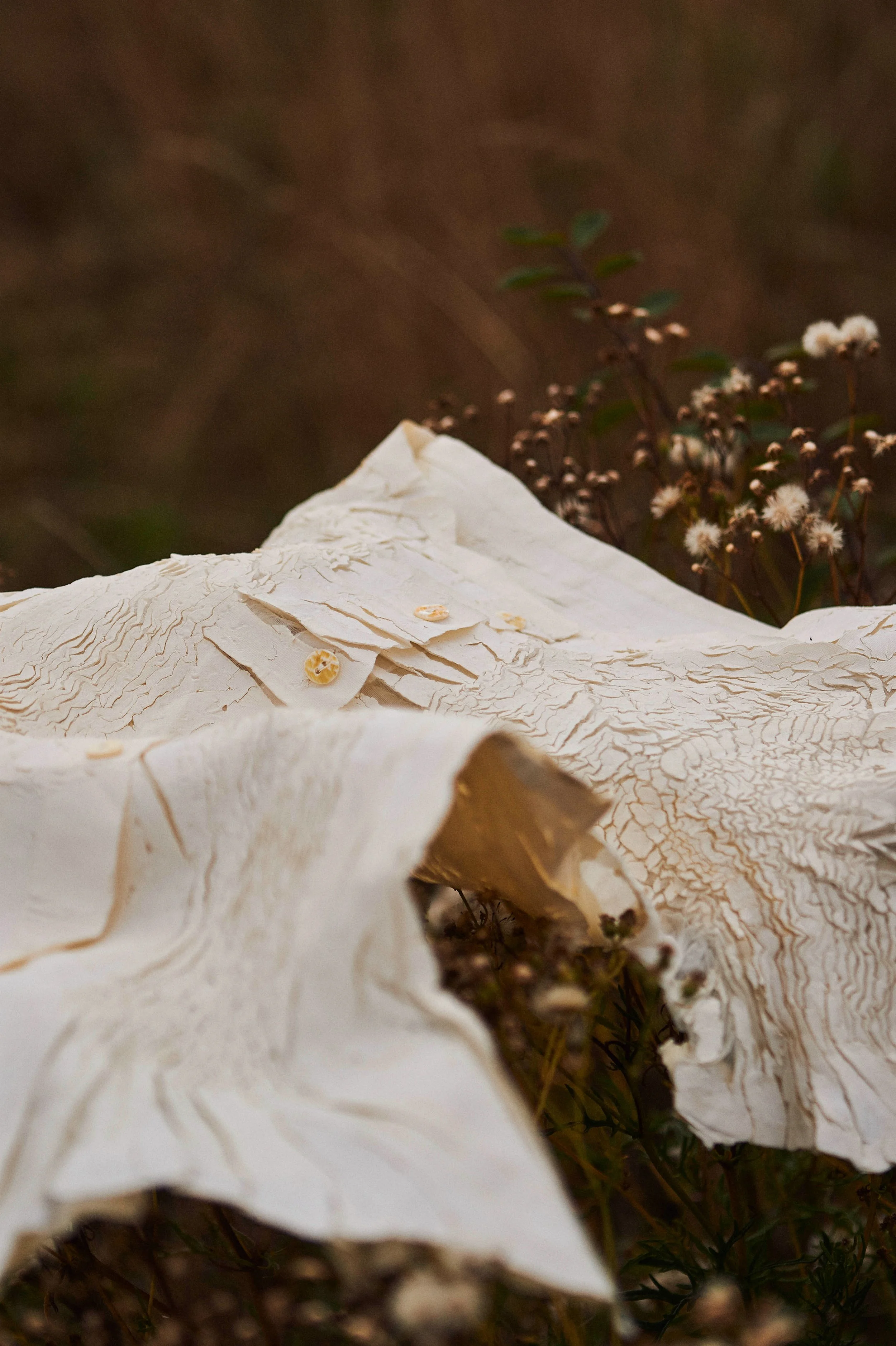 David Nolan Stylist Still Life