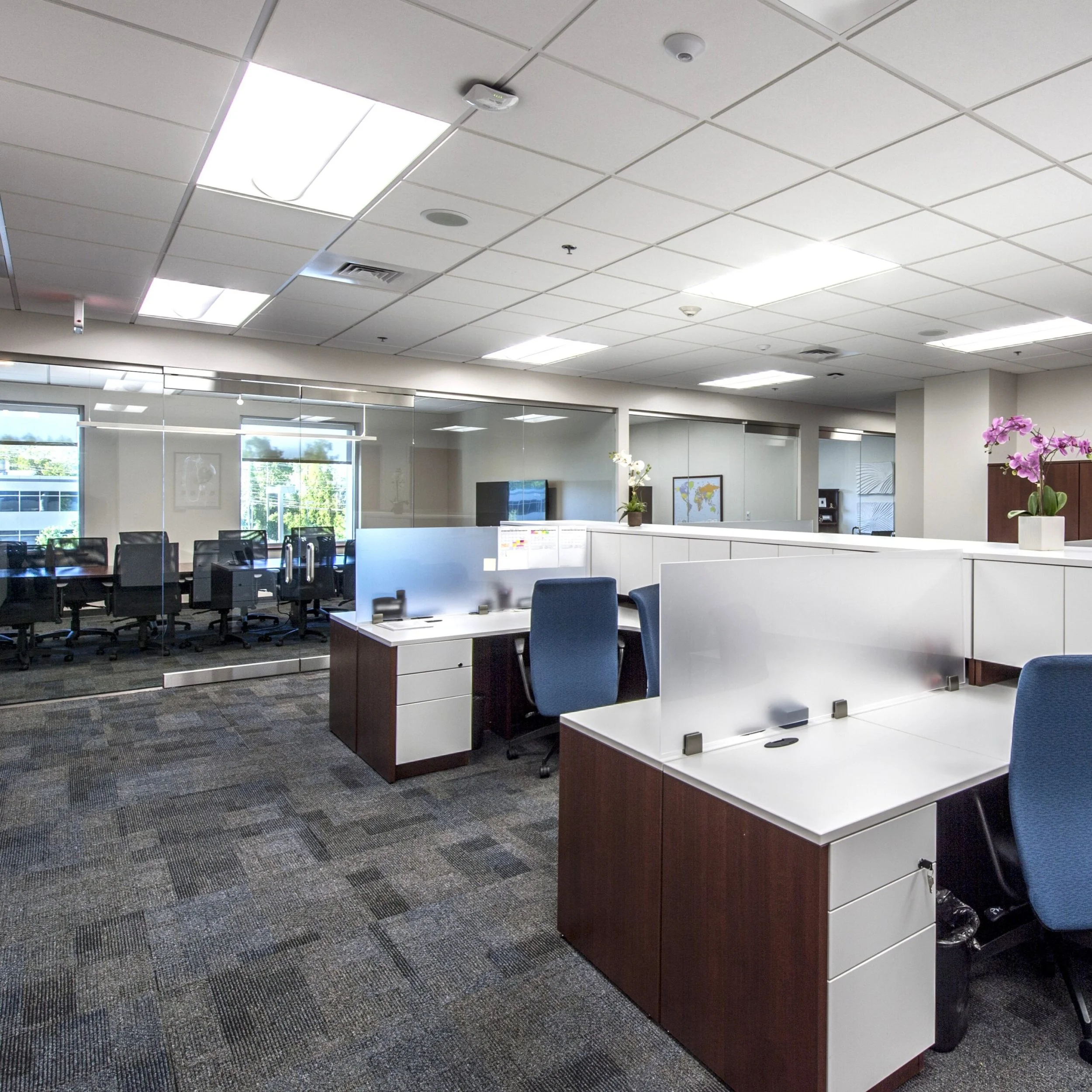 An empty modern office with cubicles, desks, blue chairs, and glass-walled conference room in background at Blanchard Woods Office Park. Decor includes plants and framed artwork.