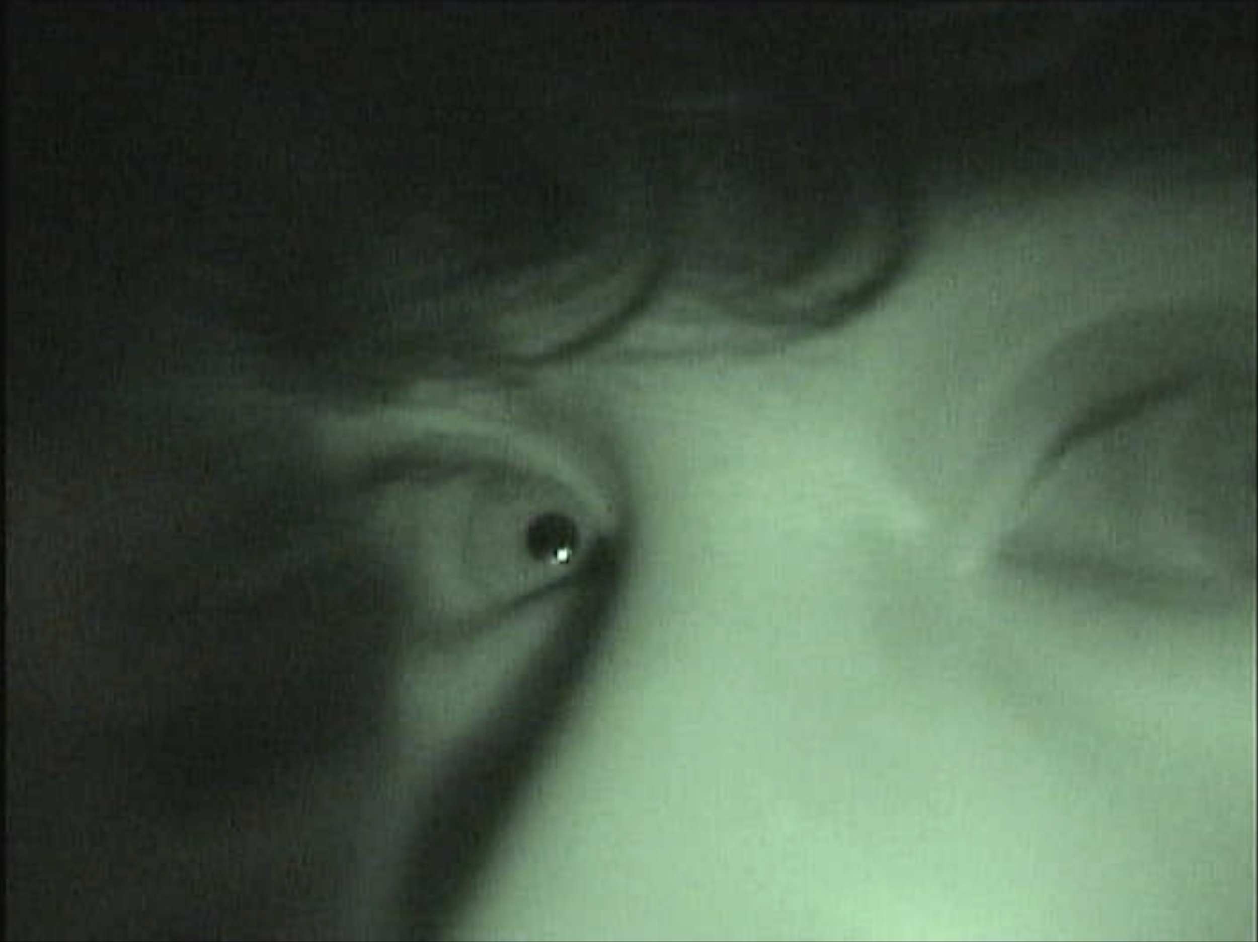 Screenshot 2024-07-24 alle 19.51.27.png