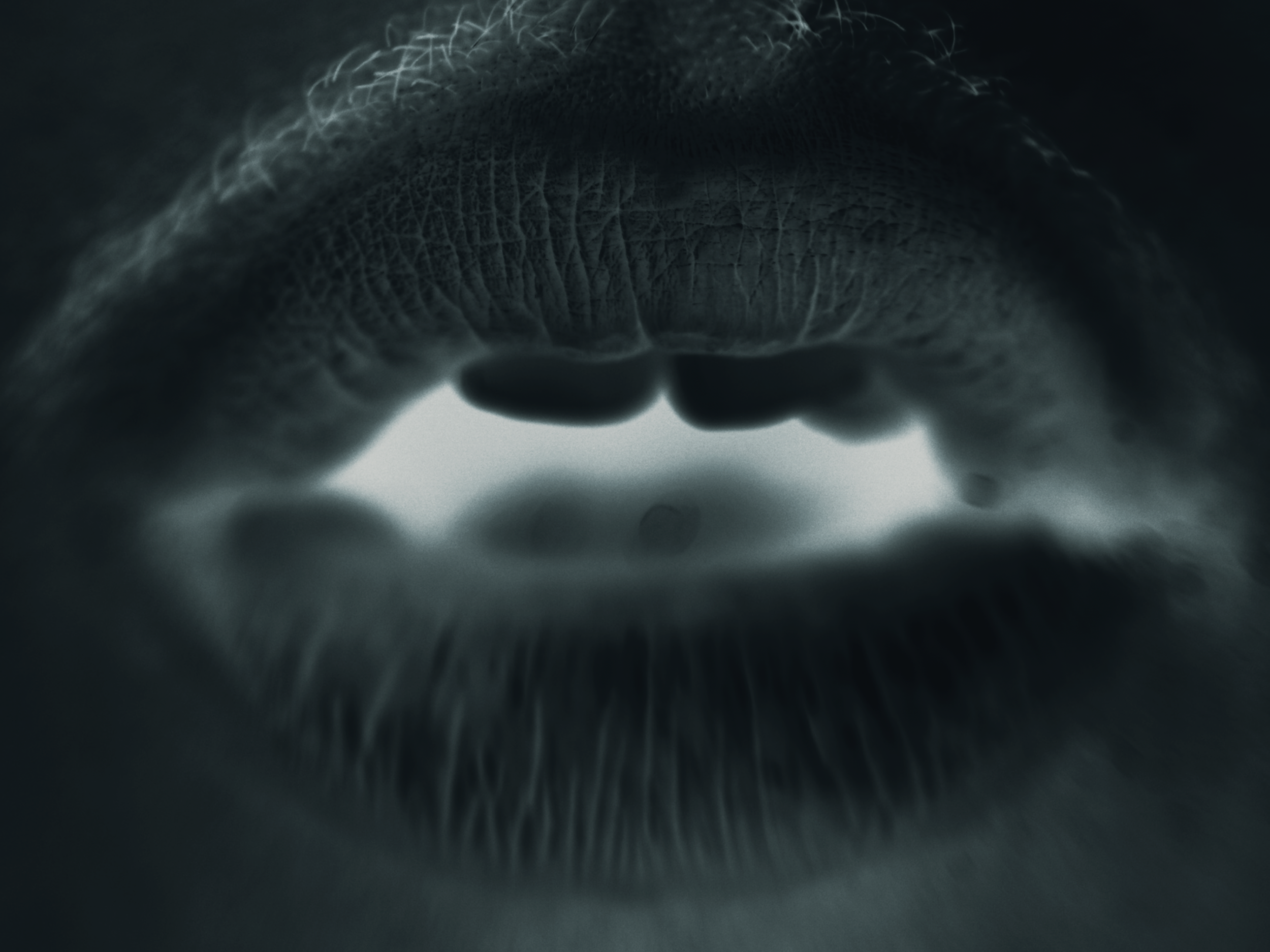 LW$ | Can't Keep Fallin' - music video