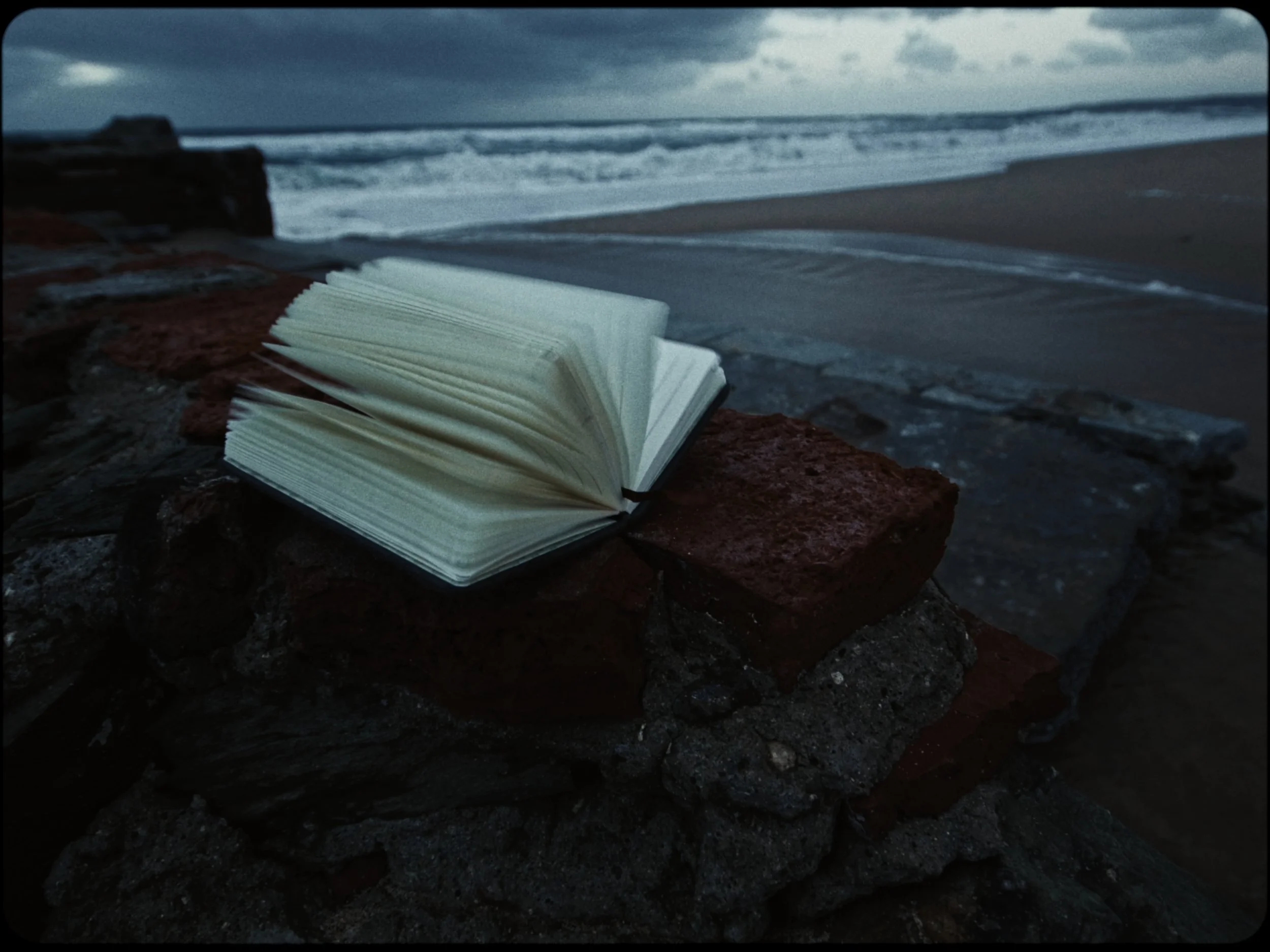 Still 2026-02-27 172837_15.24.1.jpg