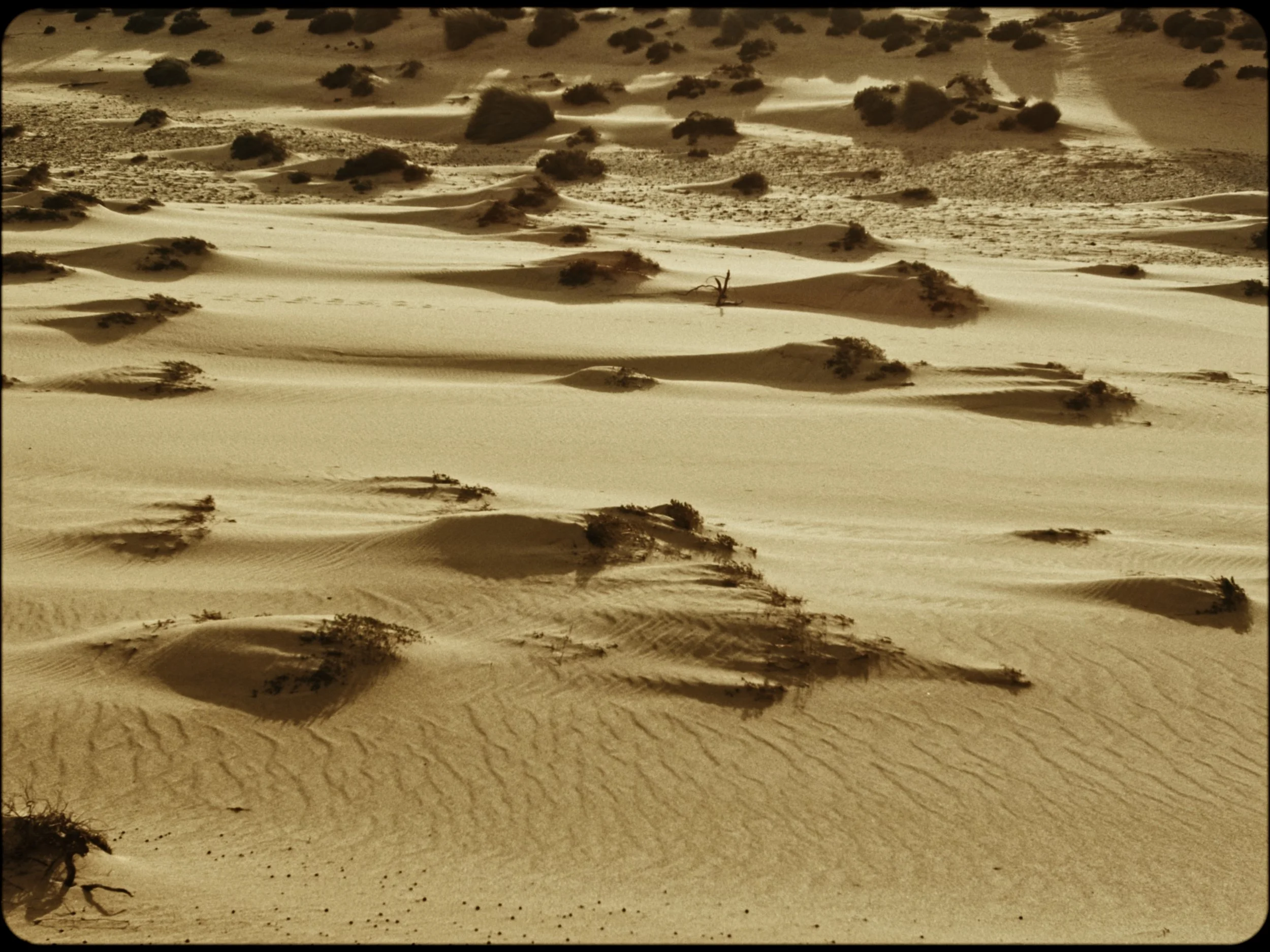 Still 2026-02-27 172837_18.6.1.jpg