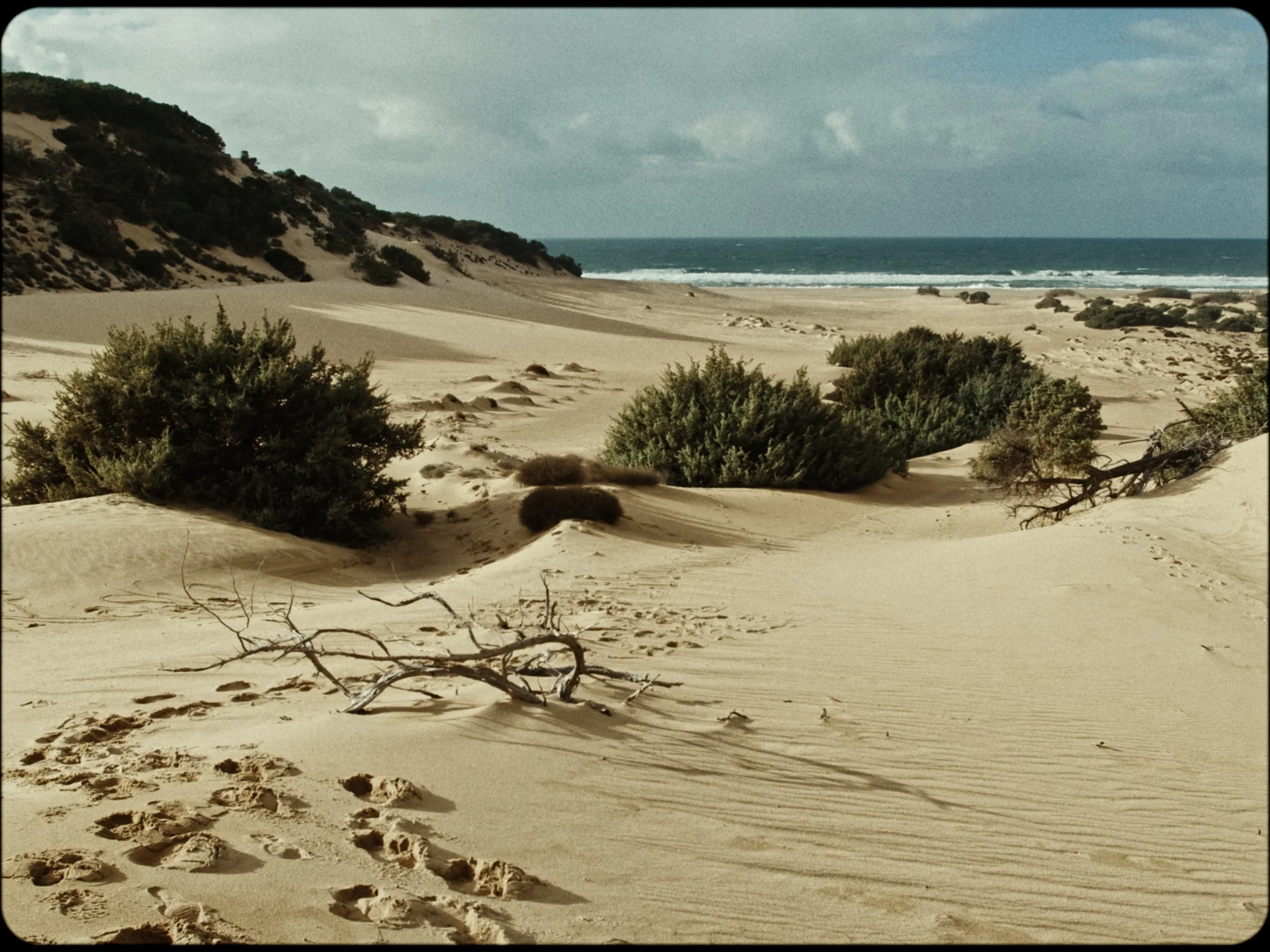 Still 2026-02-27 172837_18.4.1.jpg