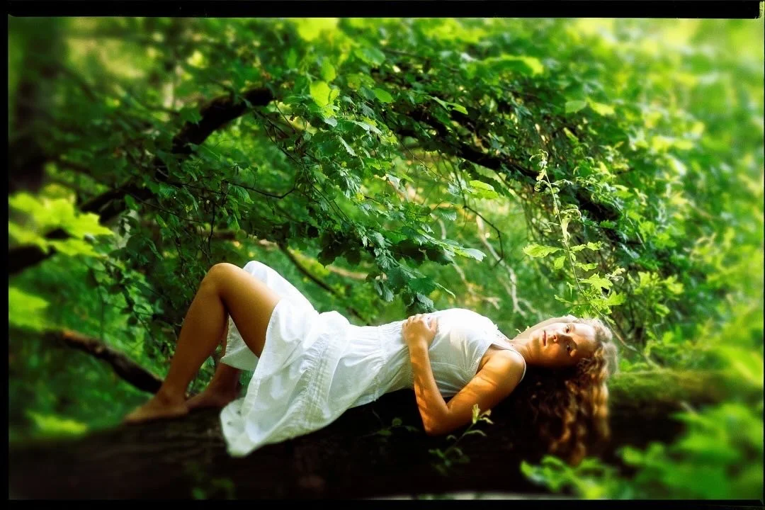 Frau in weißem Kleid liegt auf einem Baumstamm im grünen Wald.