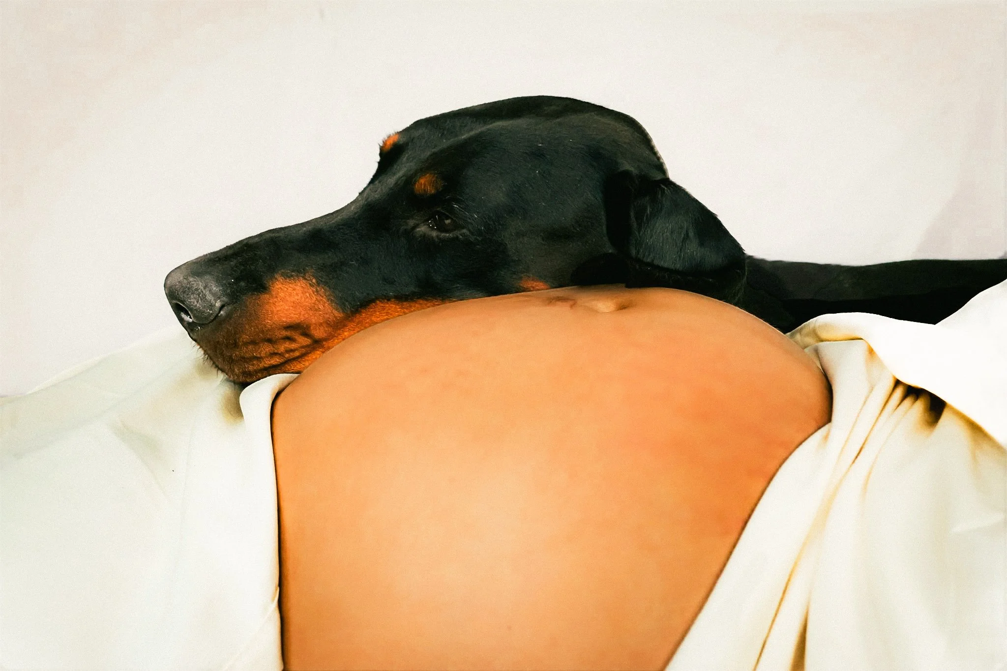 A realistic dog figurine resting its head on a human's bare shoulder, set against a plain background.