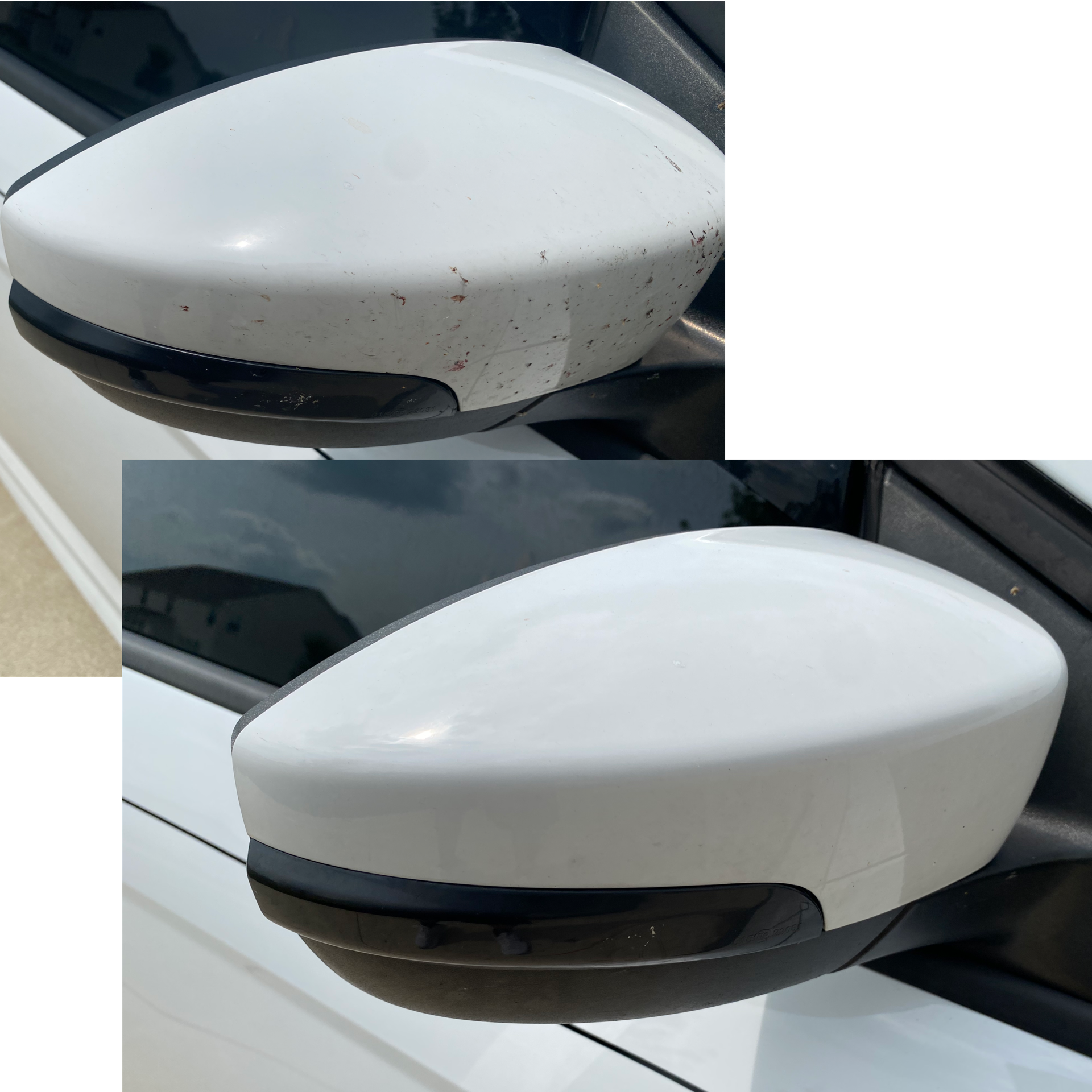 More bug remover magic on the passenger mirror