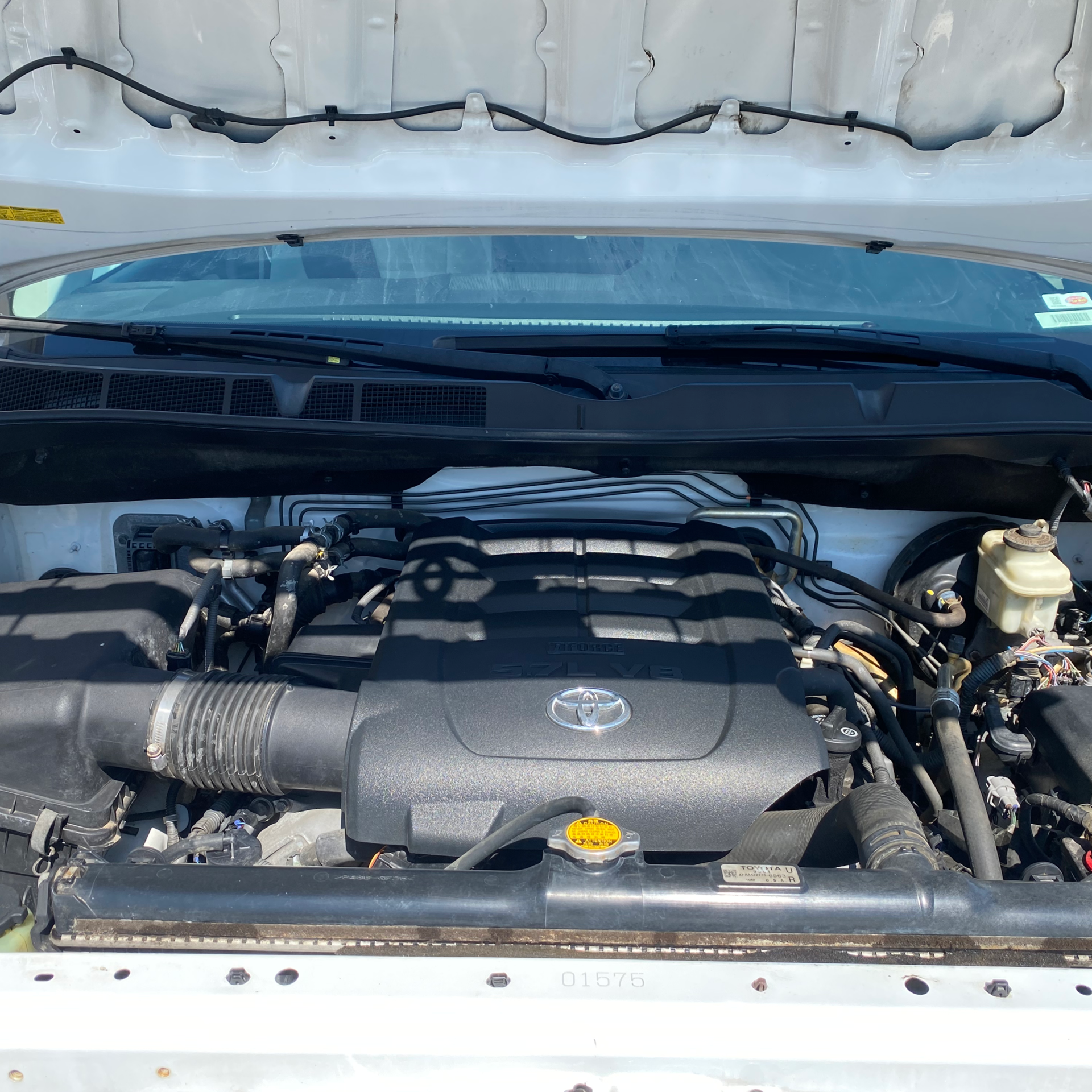 I had forgotten to take a before picture but the engine bay cleaned up so well I had to include it