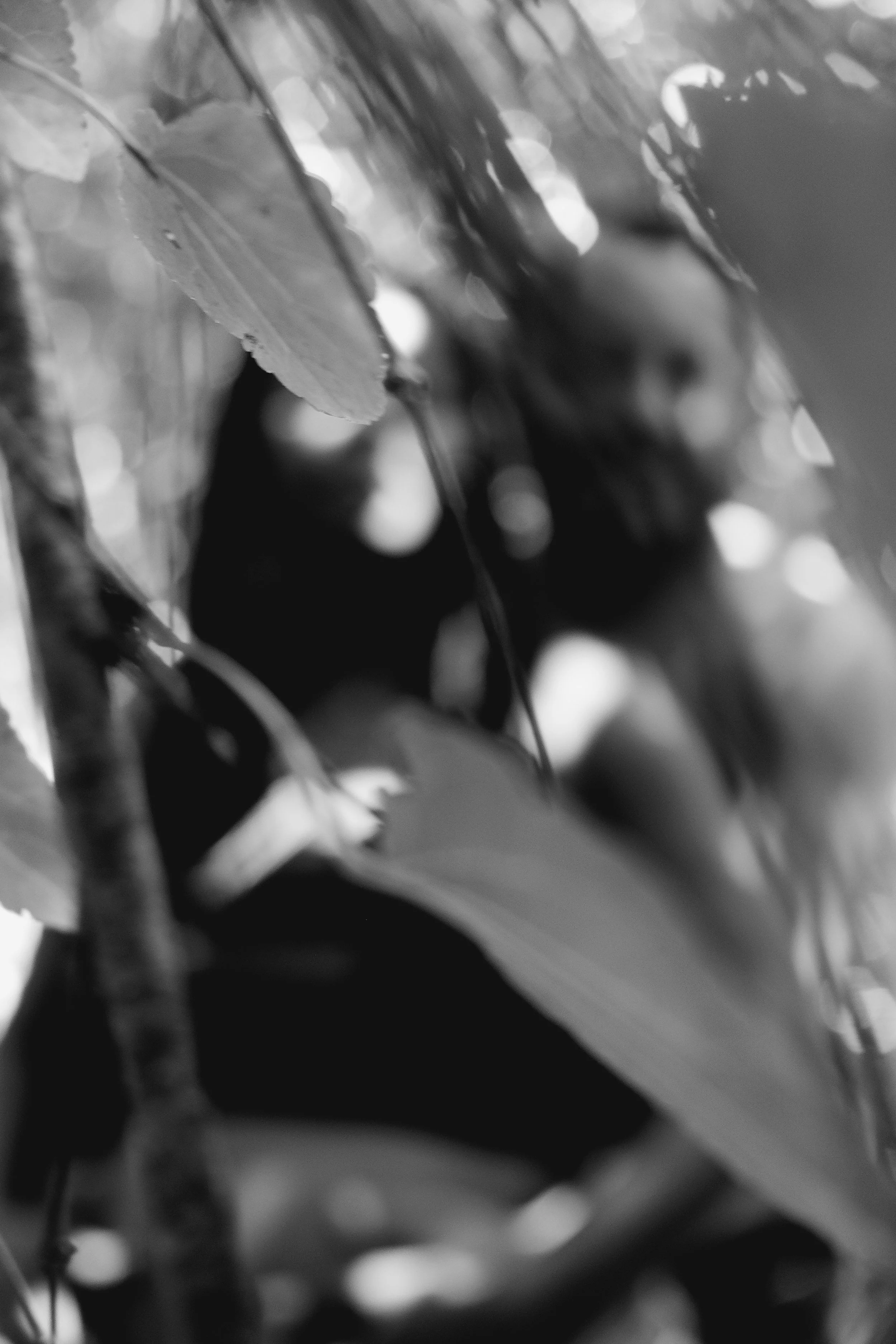 DSCF1938.jpg
