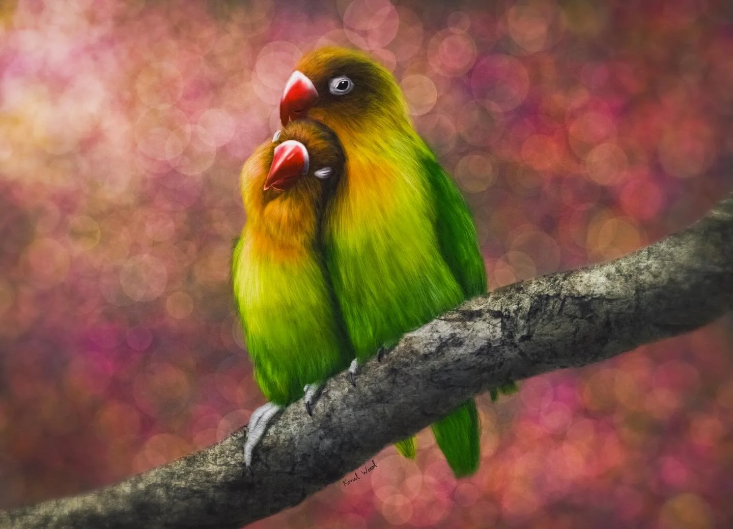 Forgot to post this yesterday but it&rsquo;s dedicated to my lovebird. May our wings take us far and wide on this journey through life together ❤️