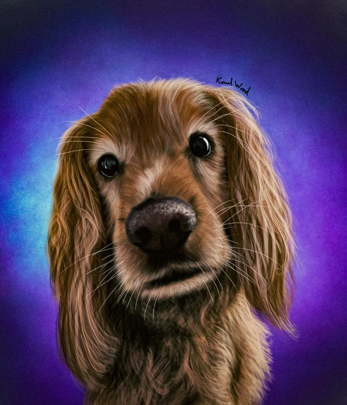 The handsomest boi deserves a handsome portrait. Hamish will always be no. 1 in Mhairi&rsquo;s heart. I can&rsquo;t even compete. And I don&rsquo;t mind.

If anyone else wants their favourite four legged friend as a portrait, hit me up