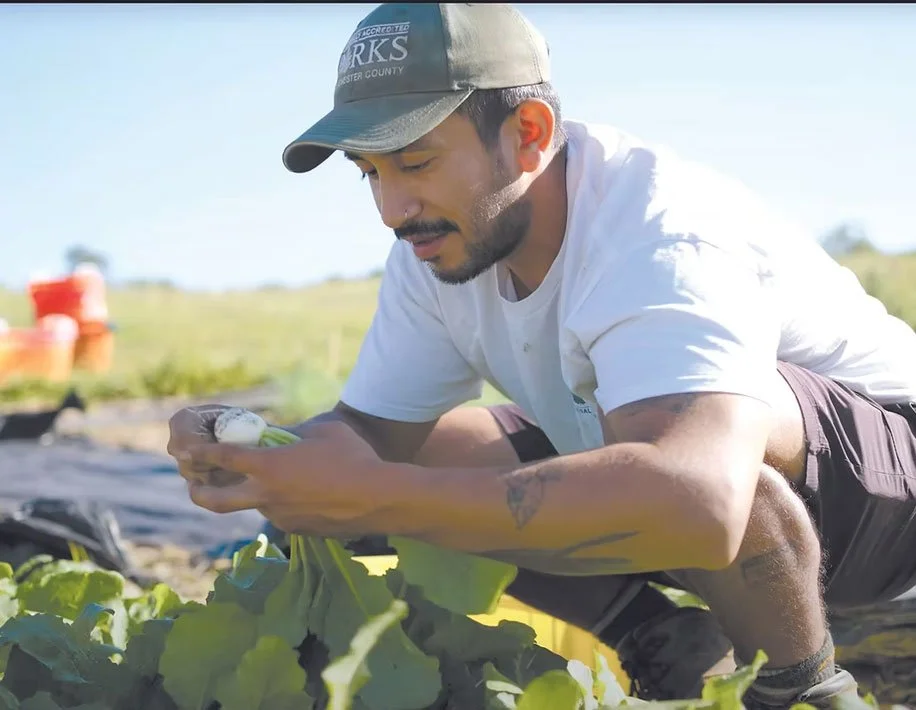 Man working outside in a farm field
