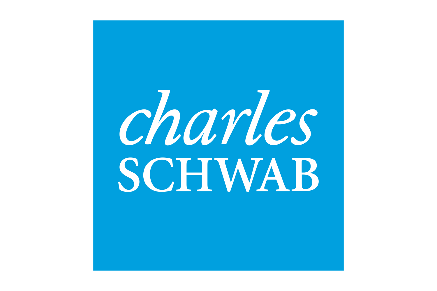 Charles Schwab Logo