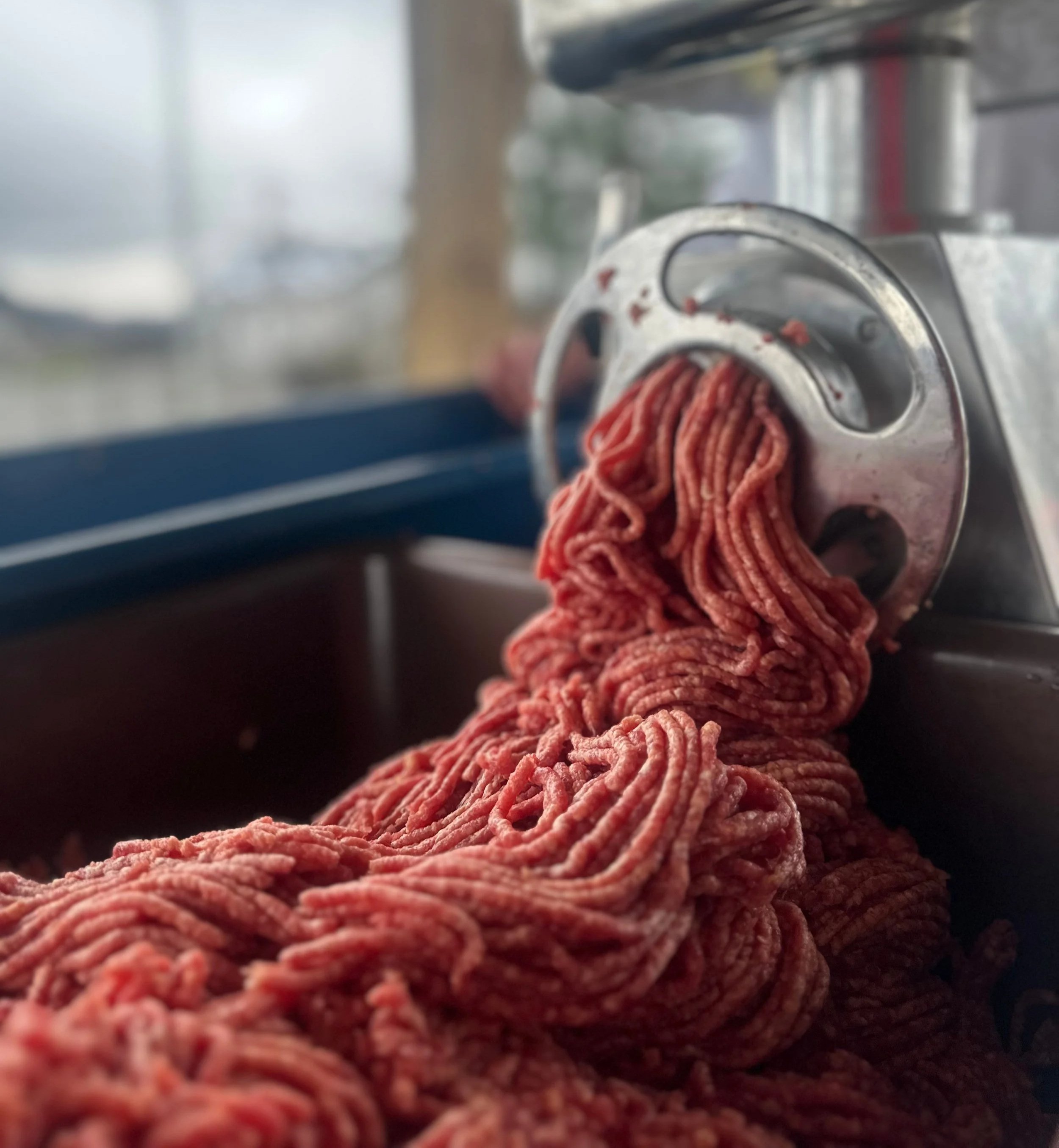 Mljevena govedina iz mašine za mljevenje mesa. Mljeveno meso. Govedina.