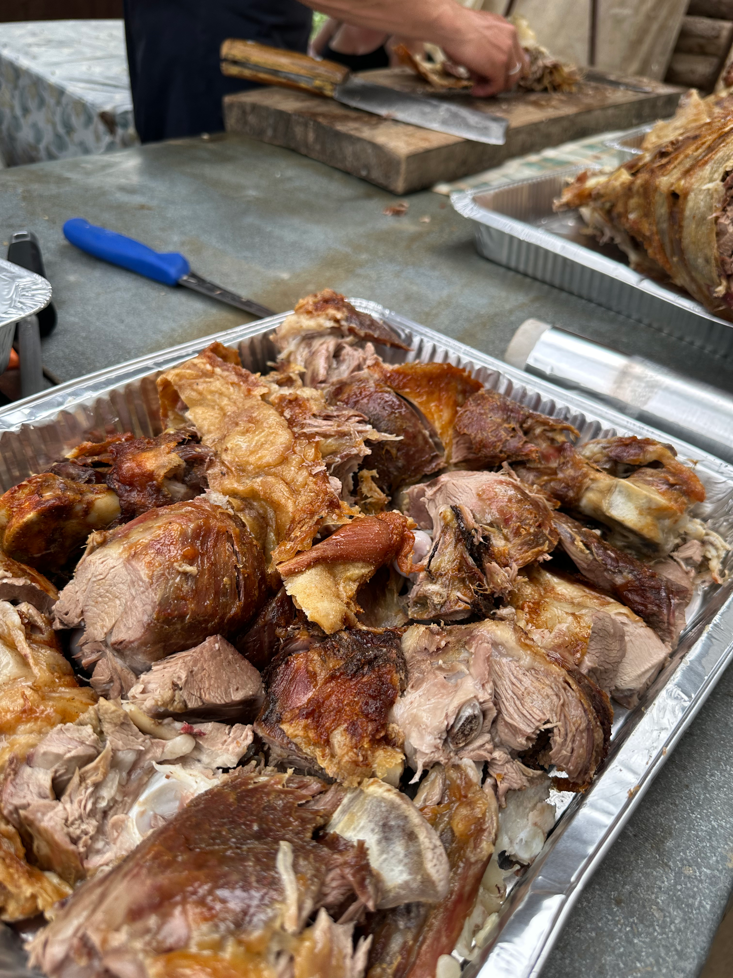 Cijelo pečeno janje odmara na vrućem uglju, sa zlatnom, hrskavom kožom, ispred drvene ograde.