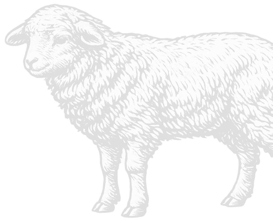 Crno-bijela ilustracija ovce okrenute lijevo na crnoj pozadini.