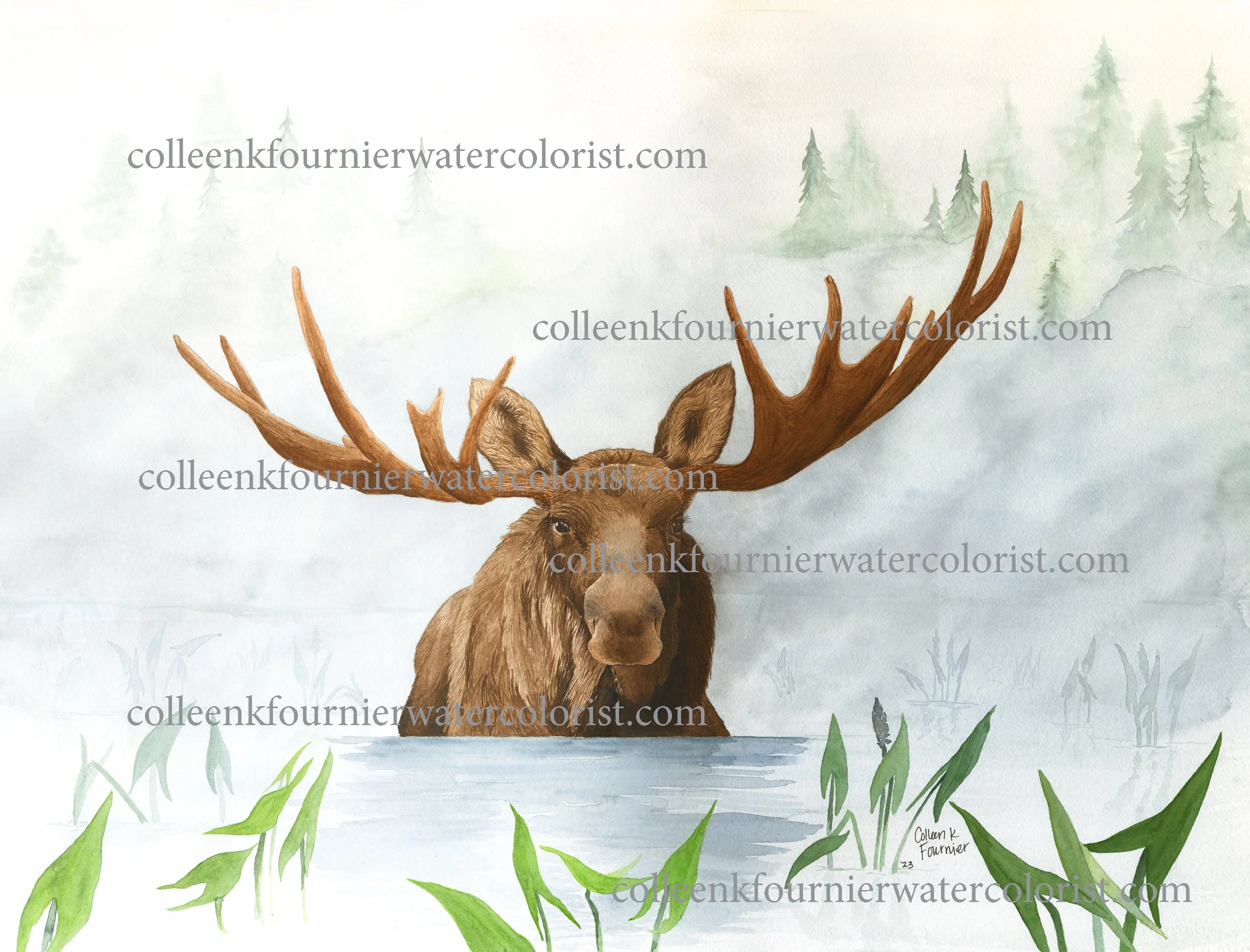 Misty Morning Moose Fine Art Print