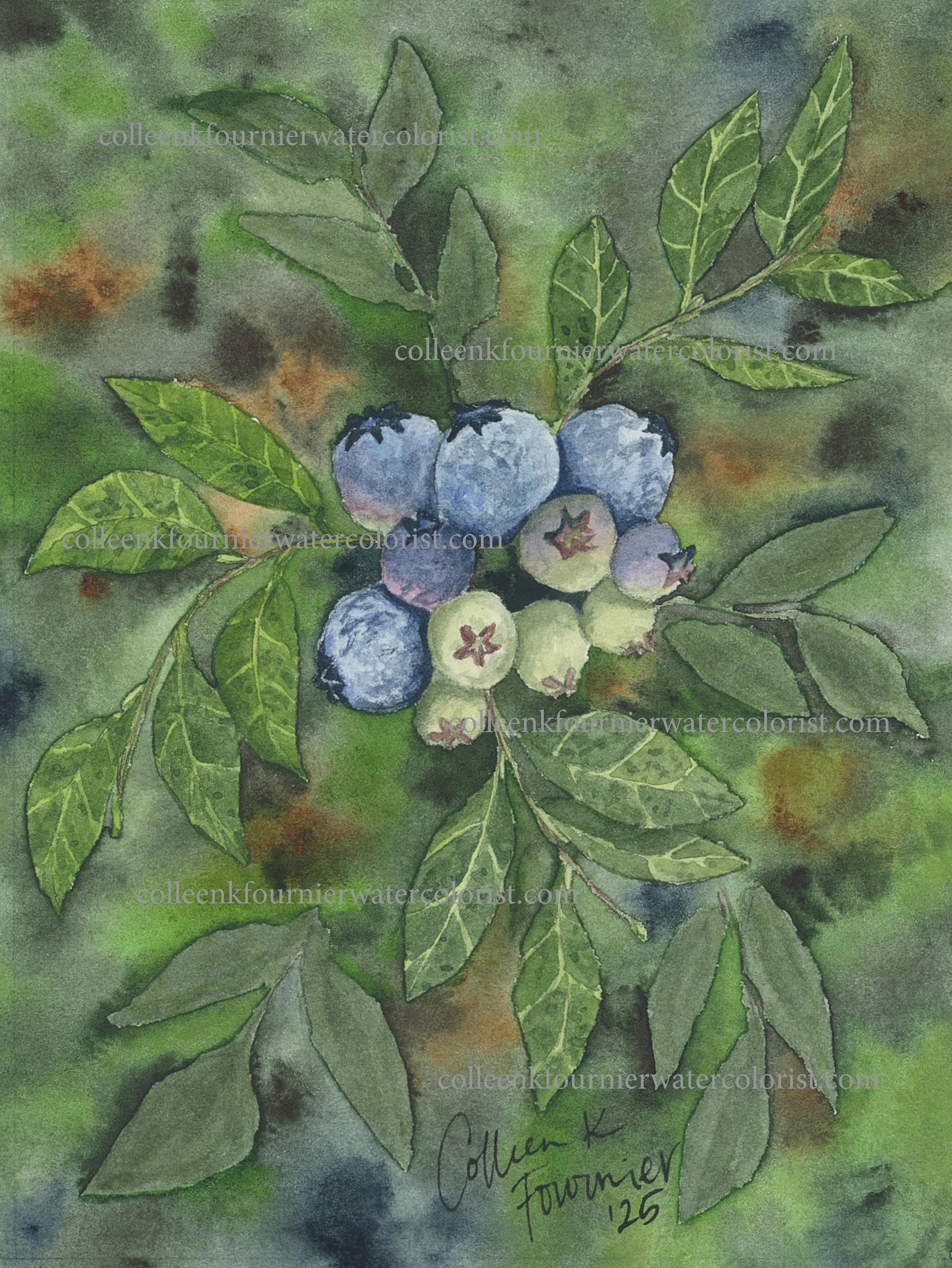 Wild Maine Blueberries Fine Art Print