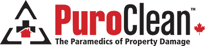 Puro Clean The paramedics of property damage logo