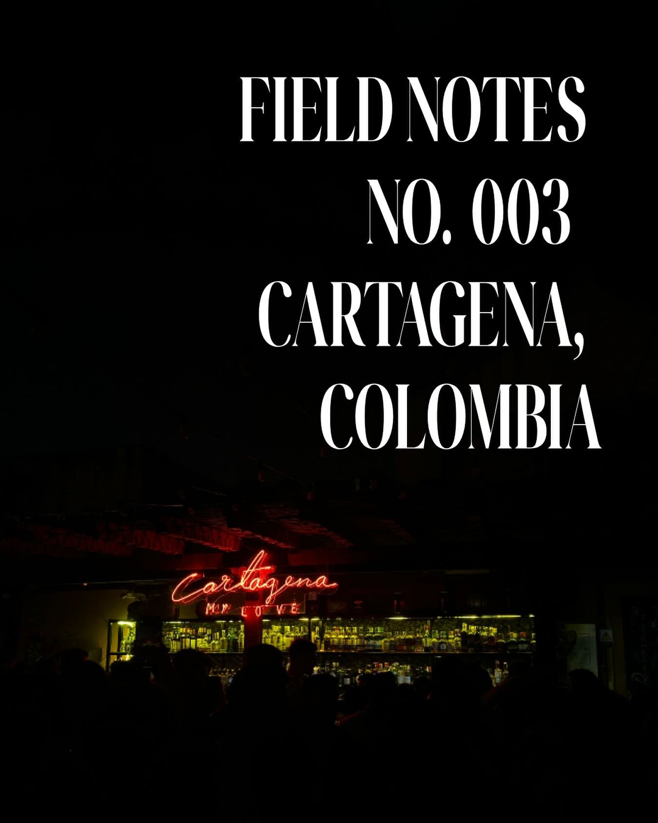 Hair frizzed, ice melted, fell in love anyway.
Cartagena, always.
Field Notes No. 003 now on Substack &rarr; /southofeast

#cartagena #colombia #southofeast #cartagenadeindias