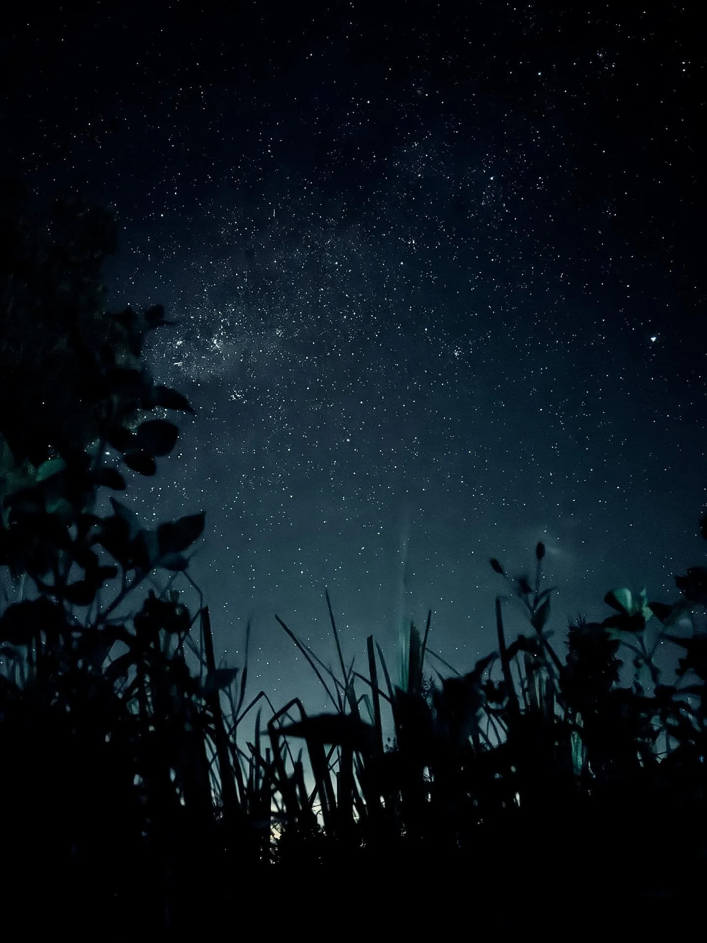 📍Kawah Ijen, East Java (Indonesia)

The sky at 4 a.m. is unreal out here!! This was taken on my phone from the ground. No city lights, no noise, only stars layered so thick it feels like the whole mountain is glowing. This is the hour before the cli
