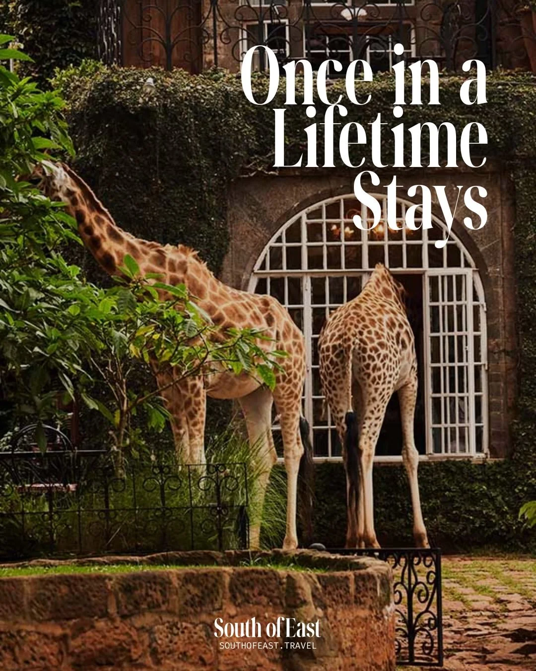 Three Michelin Keys and five stars do not automatically make a place once in a lifetime. What does is setting, access, and the fact that it could not exist anywhere else. These are the stays shaped entirely by place.
#SouthOfEast