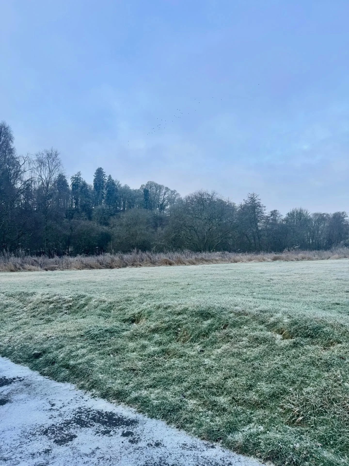 It&rsquo;s been a frosty start back at work ❄️