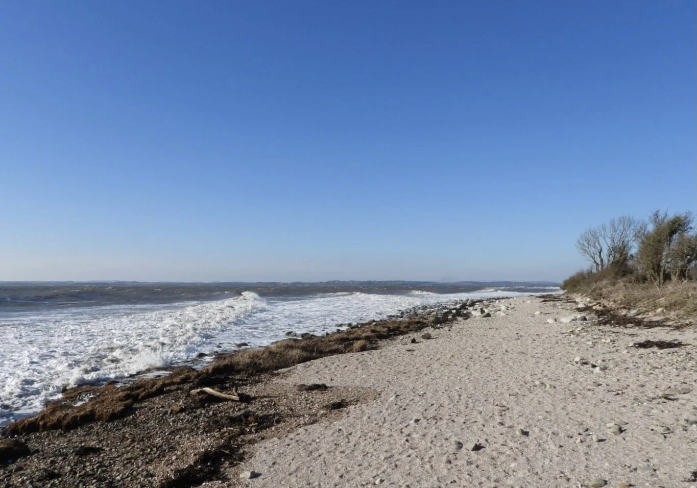 coastal lodges for sale in scotland.JPEG