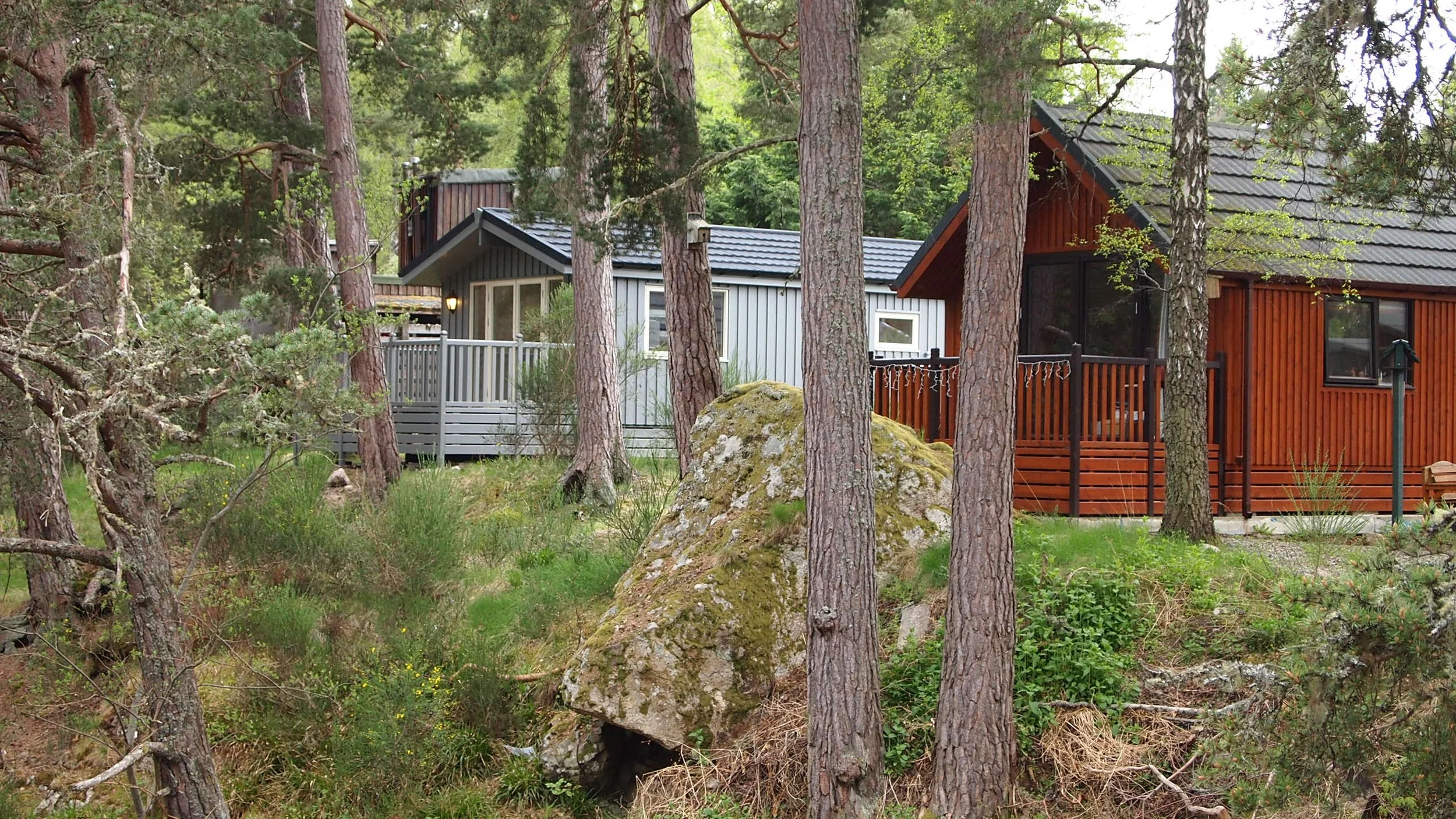 Two houses nestled among tall trees in a forested area, with a large moss-covered rock in the foreground.