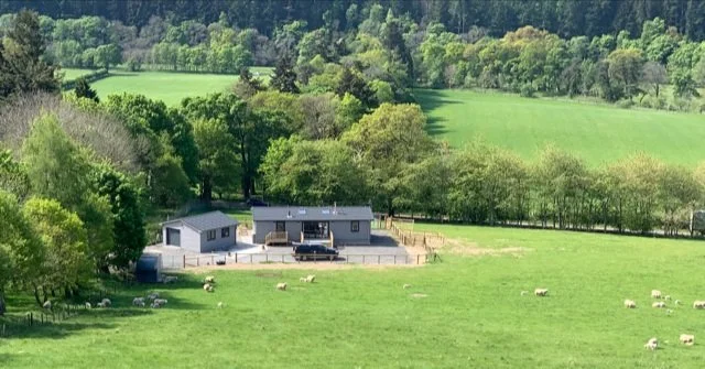 A farm with a house, a shed, and a fenced area, surrounded by green fields and trees.