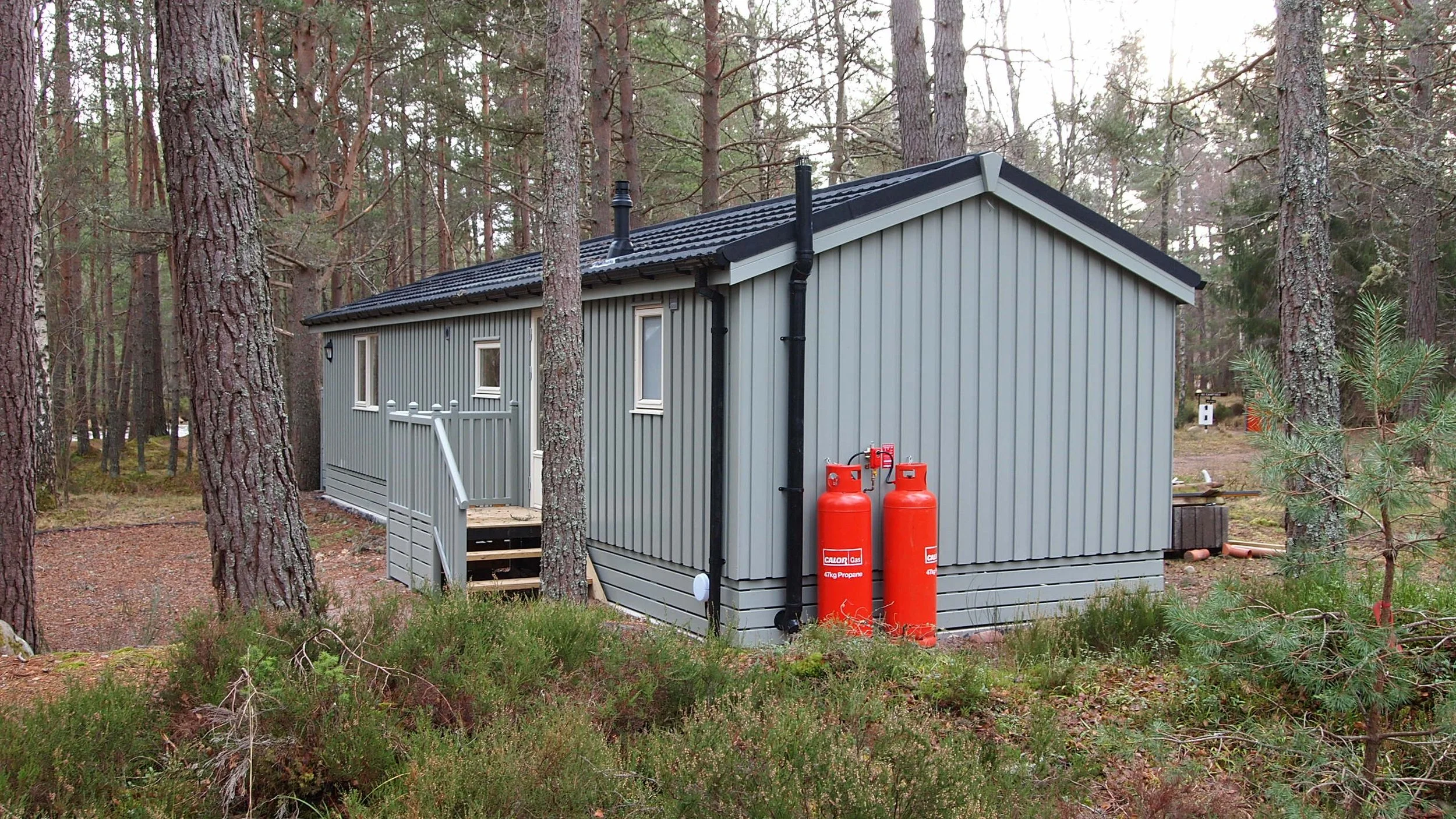 A gray wooden cabin in a forest with tall pine trees, propane tanks outside, and a small staircase leading to the entrance.