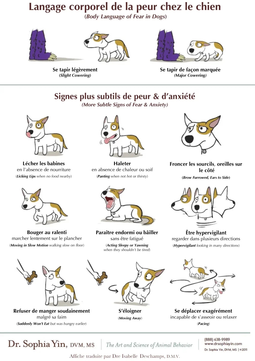 signaux de stress chez le chien