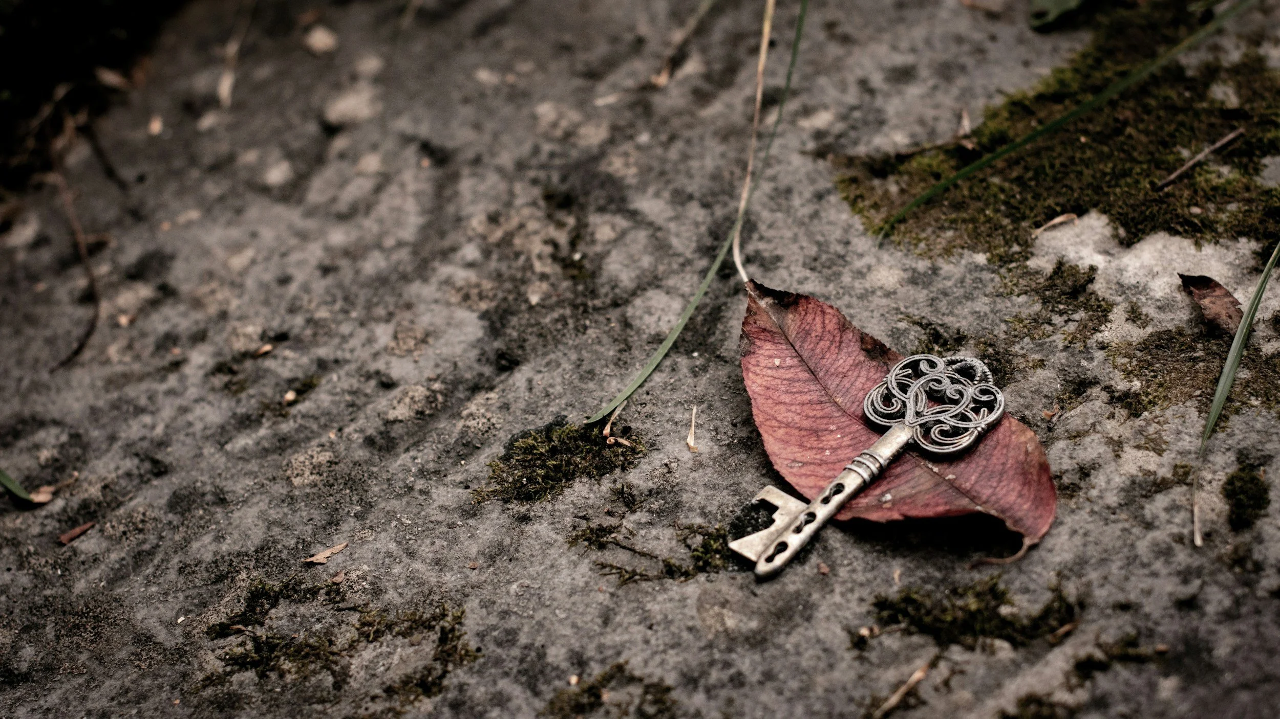 unsplash-image-yfYSUtxm9A4.jpg
