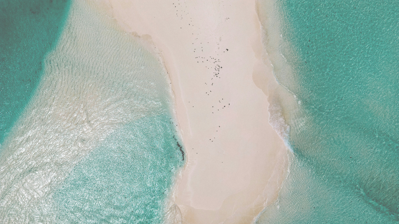 Untitled design (21).png