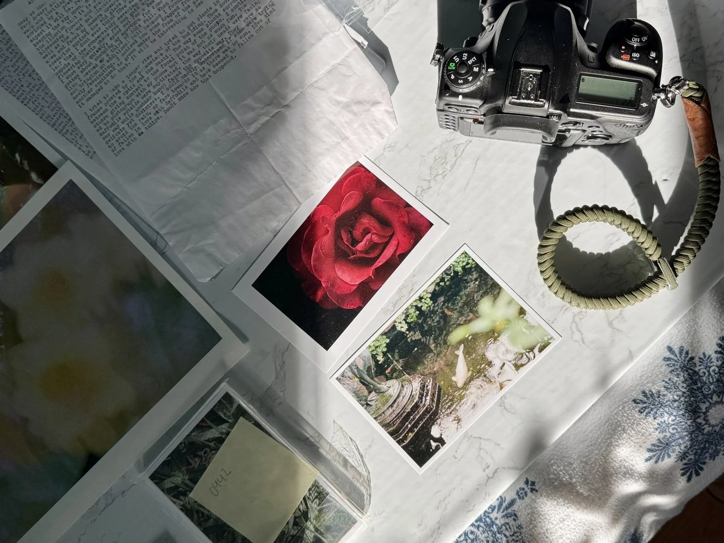 A Year Shooting Film at Allan Gardens Conservatory, Toronto: My Photography Journey