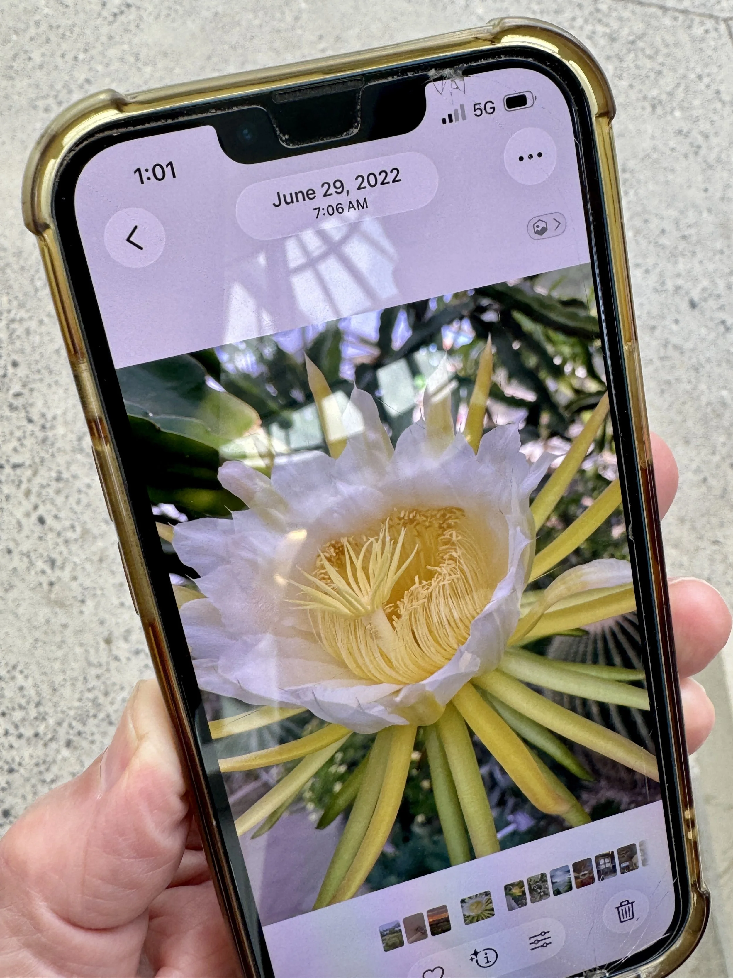 What a 40-Year Gardener at Allan Gardens Conservatory Taught Me About Presence, Film Photography, and Letting Go