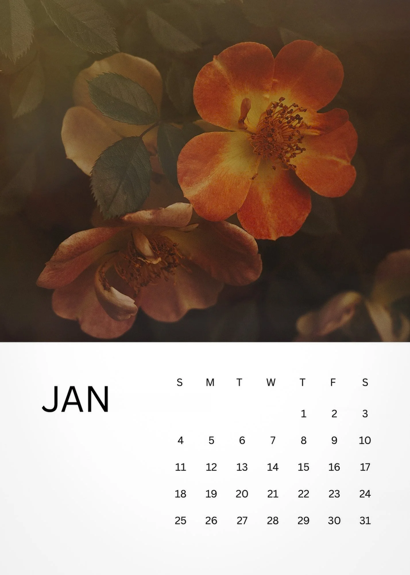 Calendar photo of beautiful orange flower, fine art photography, toronto