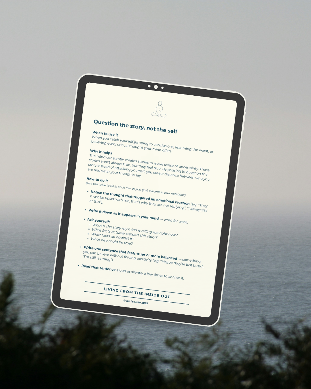 Handbook Living from the inside out (mockup stories).png