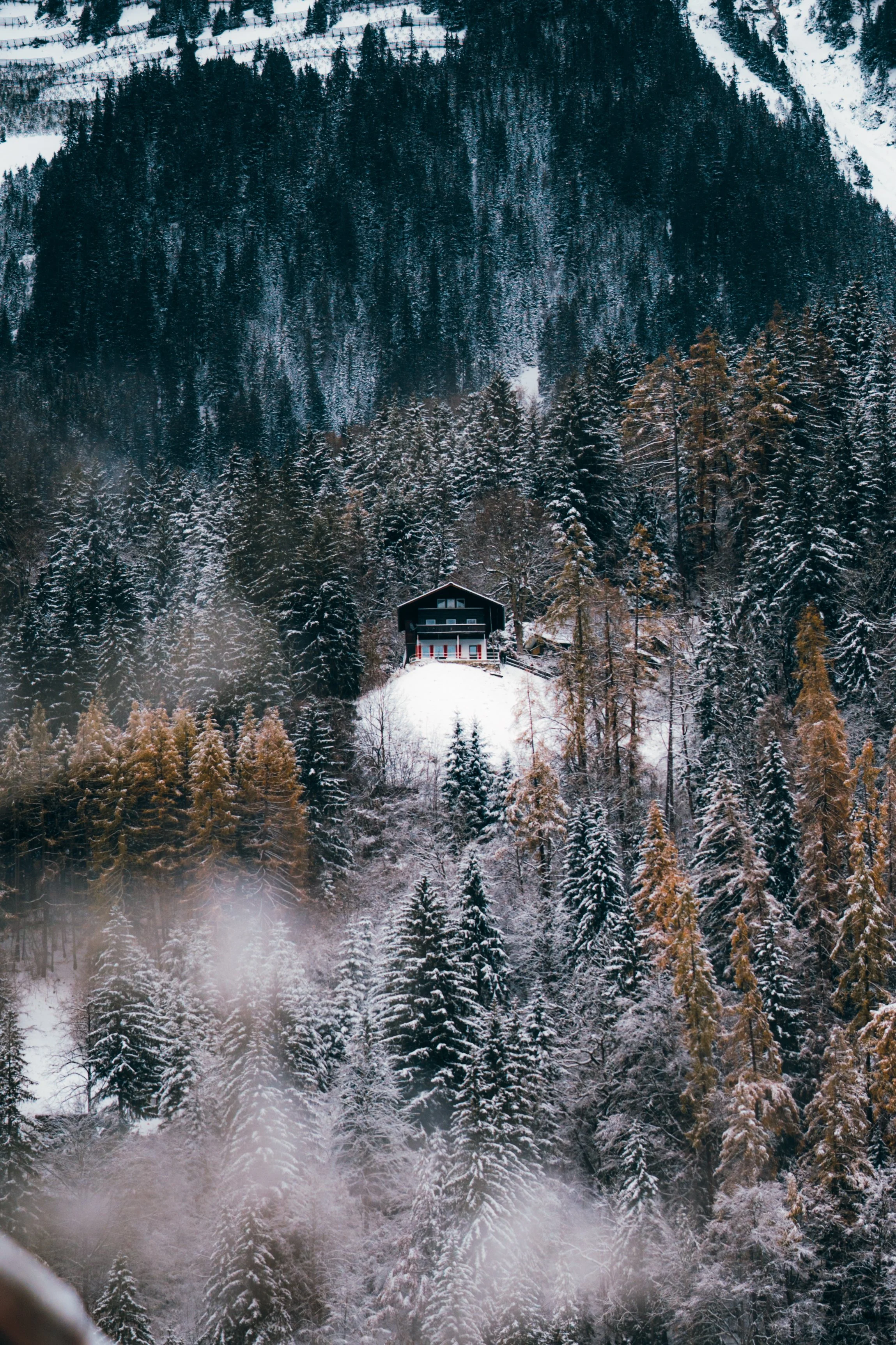 A snow-covered house on a hill surrounded by dense pine trees in a mountain forest during winter.