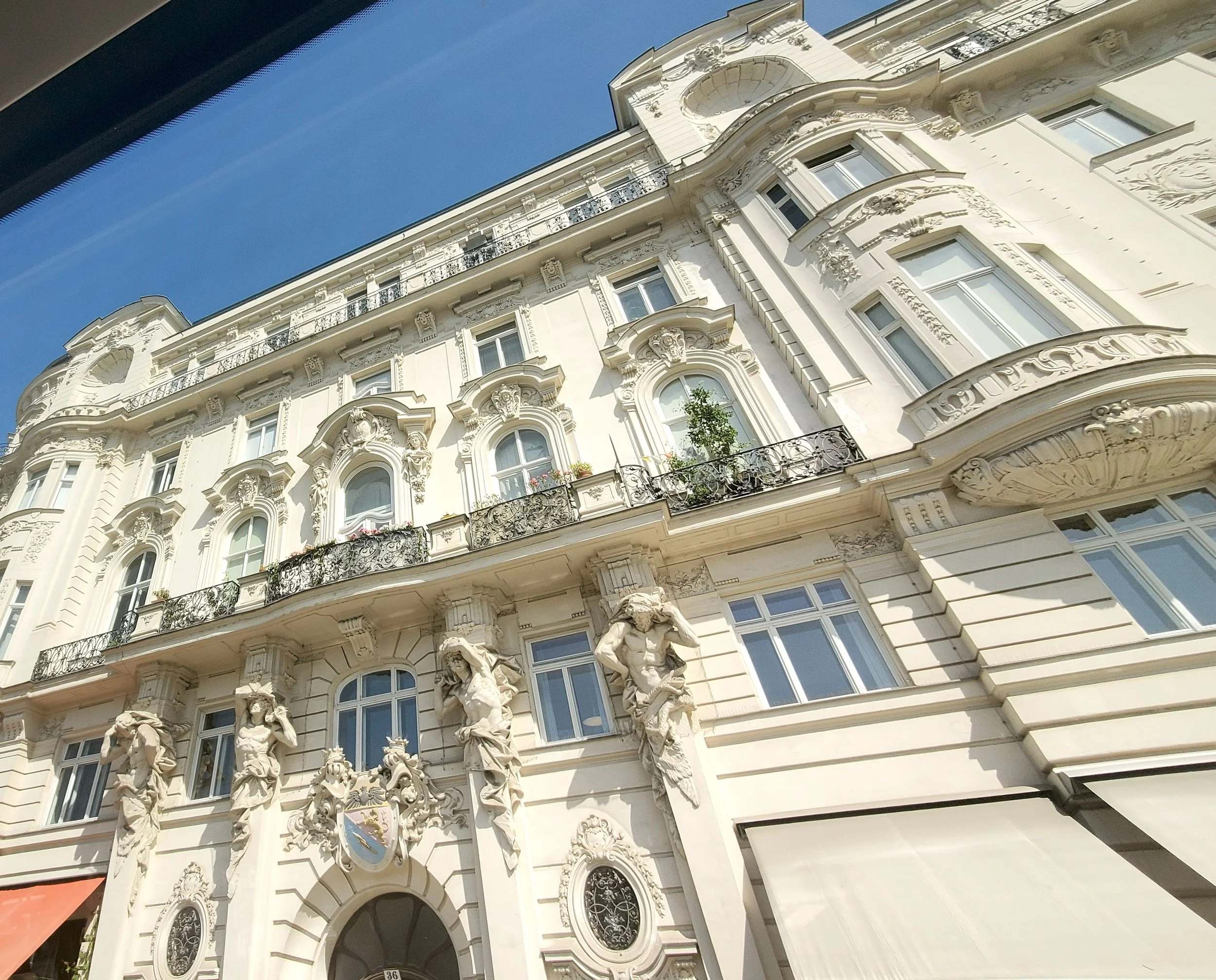 Vienna from the Bus.jpg