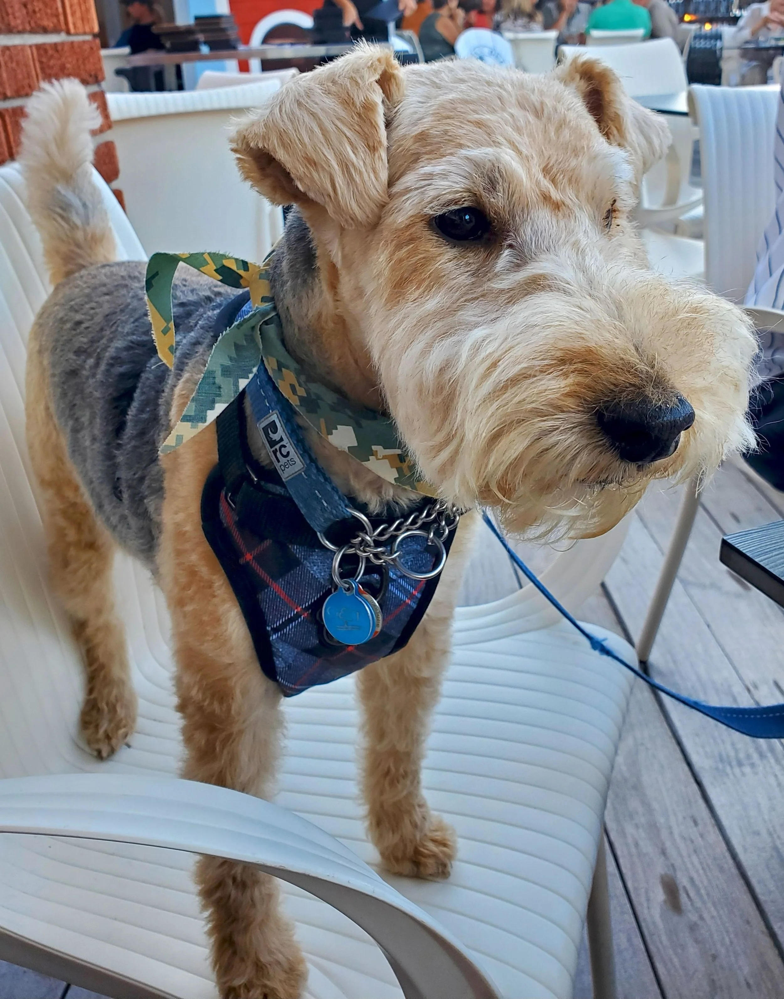 Simon in Manotick.jpg