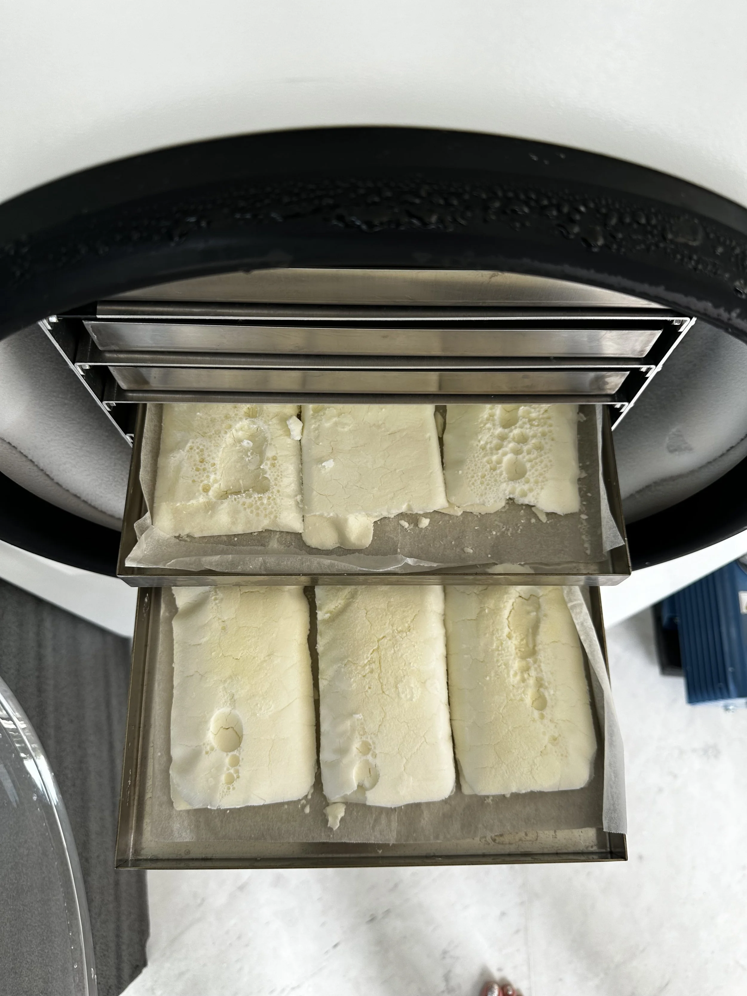 breastmilk freeze drying stage 3