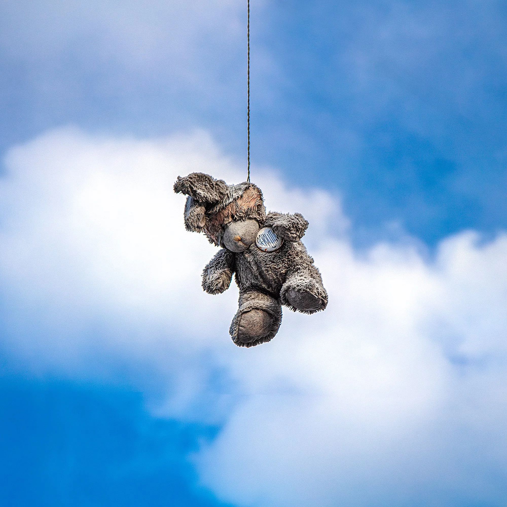hang-bear.jpg