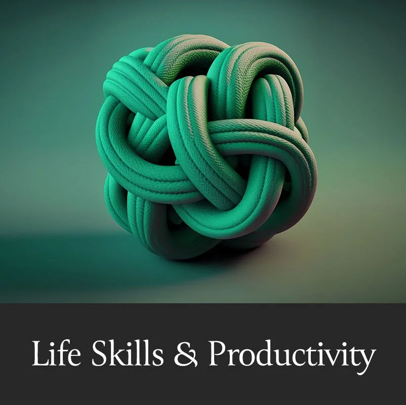 Life Skills Productivity.jpg