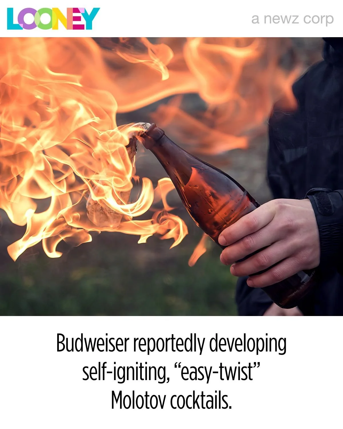 molotov-budweiser.jpg