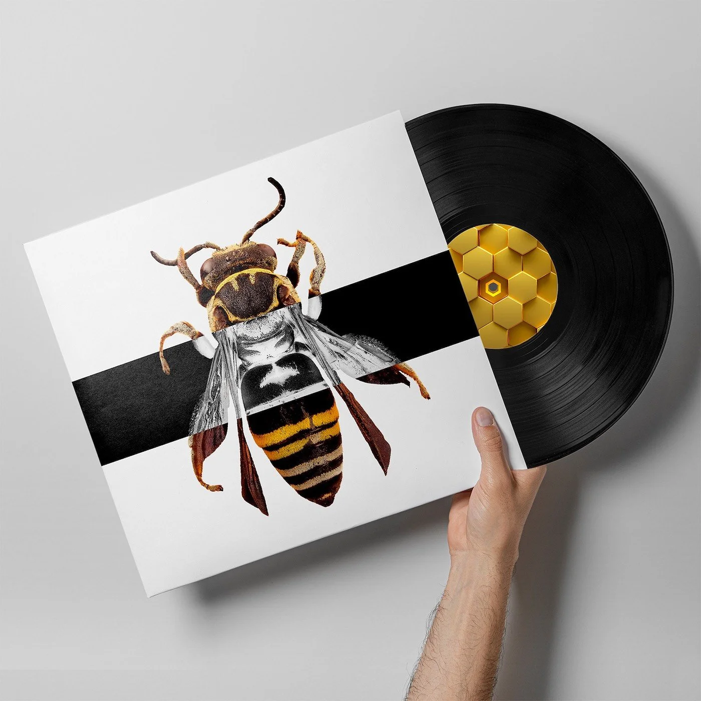 bee-2.jpg