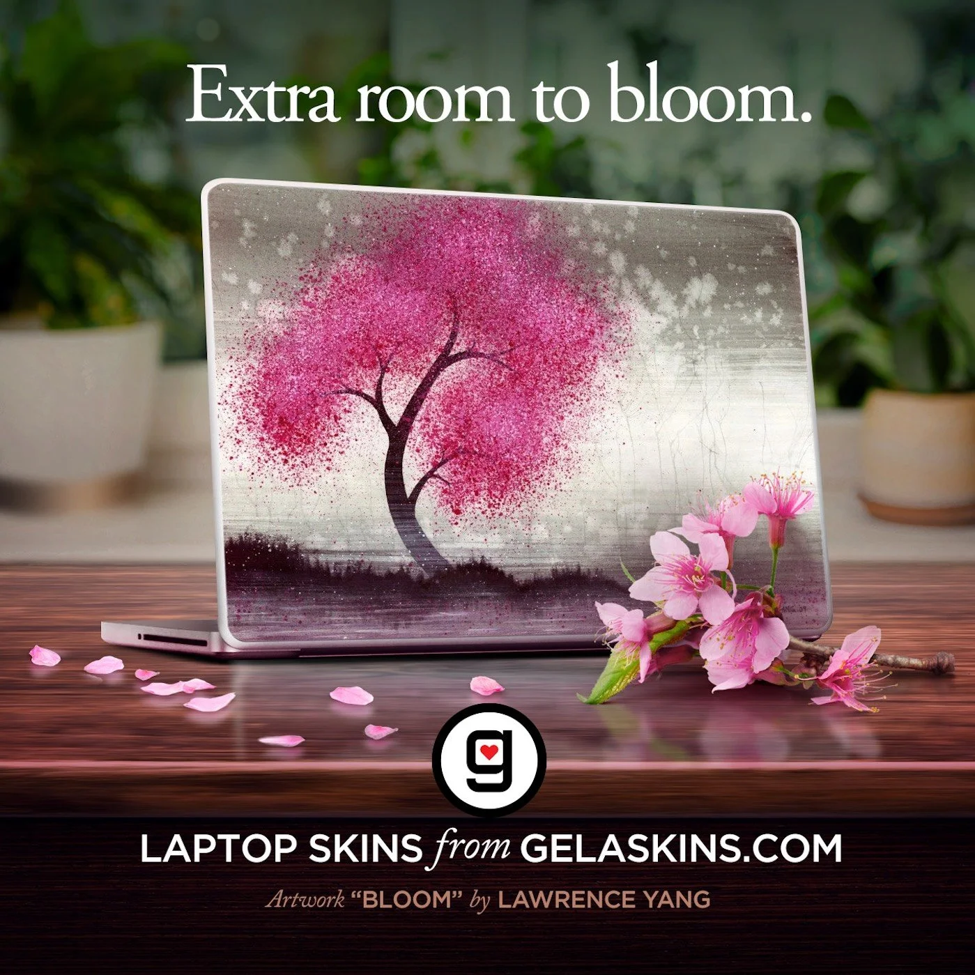 laptop-bloom-2.jpg