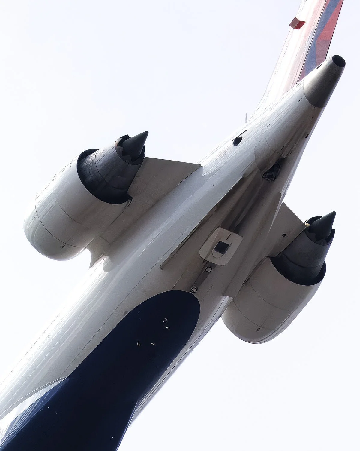 20250419-PRO_5350-2-Edit.jpg
