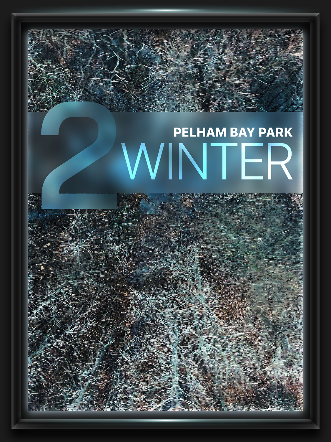 Poster - PBP Winter.png